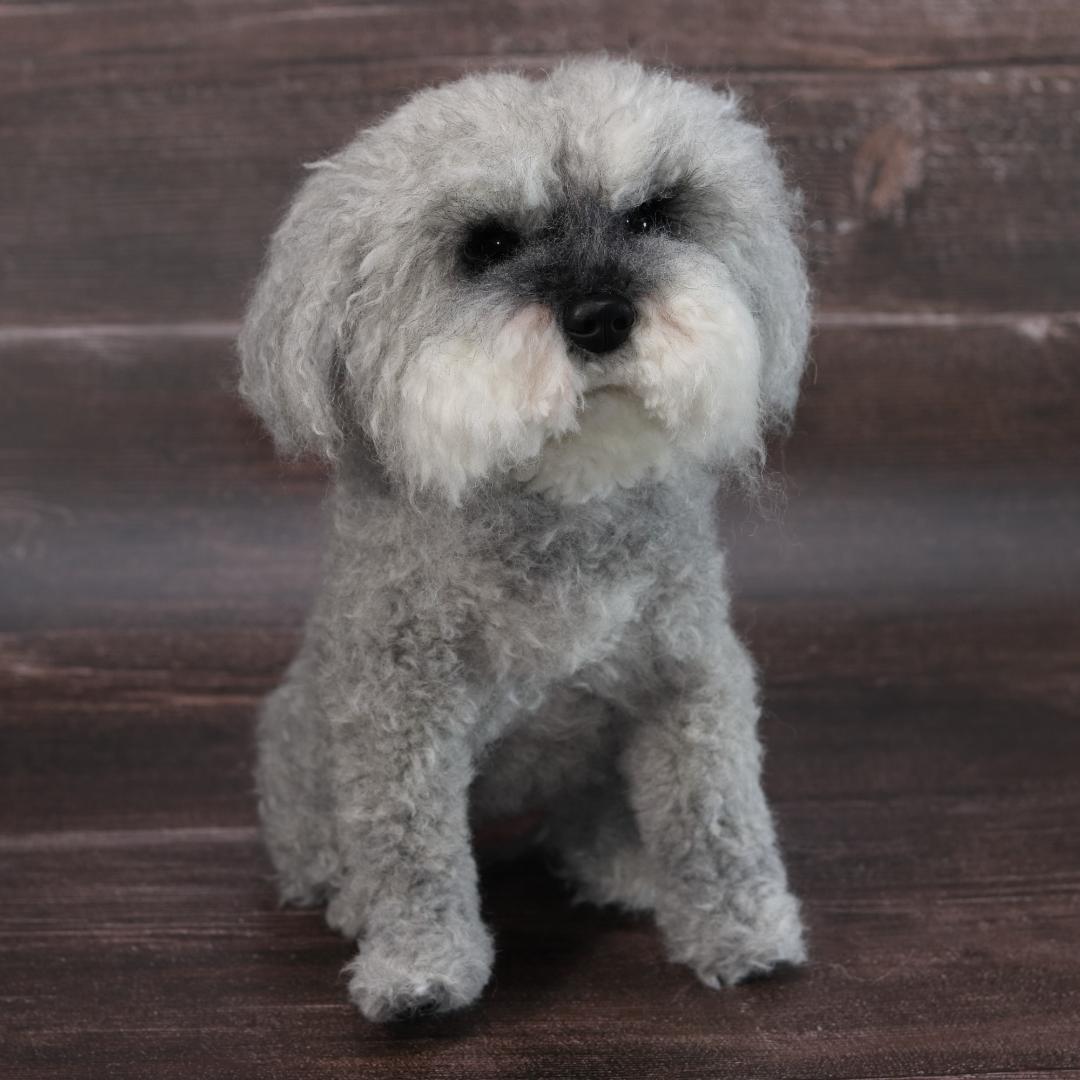 わんたさんさま専用　羊毛フェルト　犬　シュナウザー　Ｌサイズ　オーダー