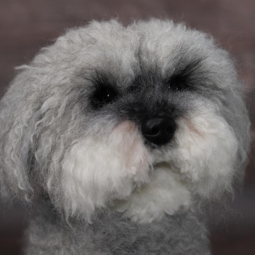 わんたさんさま専用　羊毛フェルト　犬　シュナウザー　Ｌサイズ　オーダー