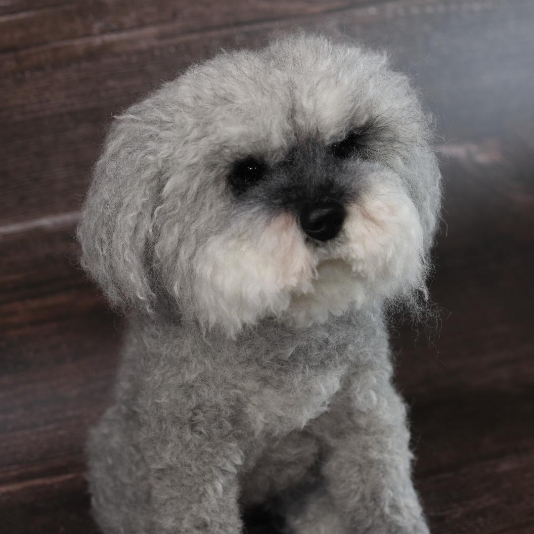 わんたさんさま専用　羊毛フェルト　犬　シュナウザー　Ｌサイズ　オーダー