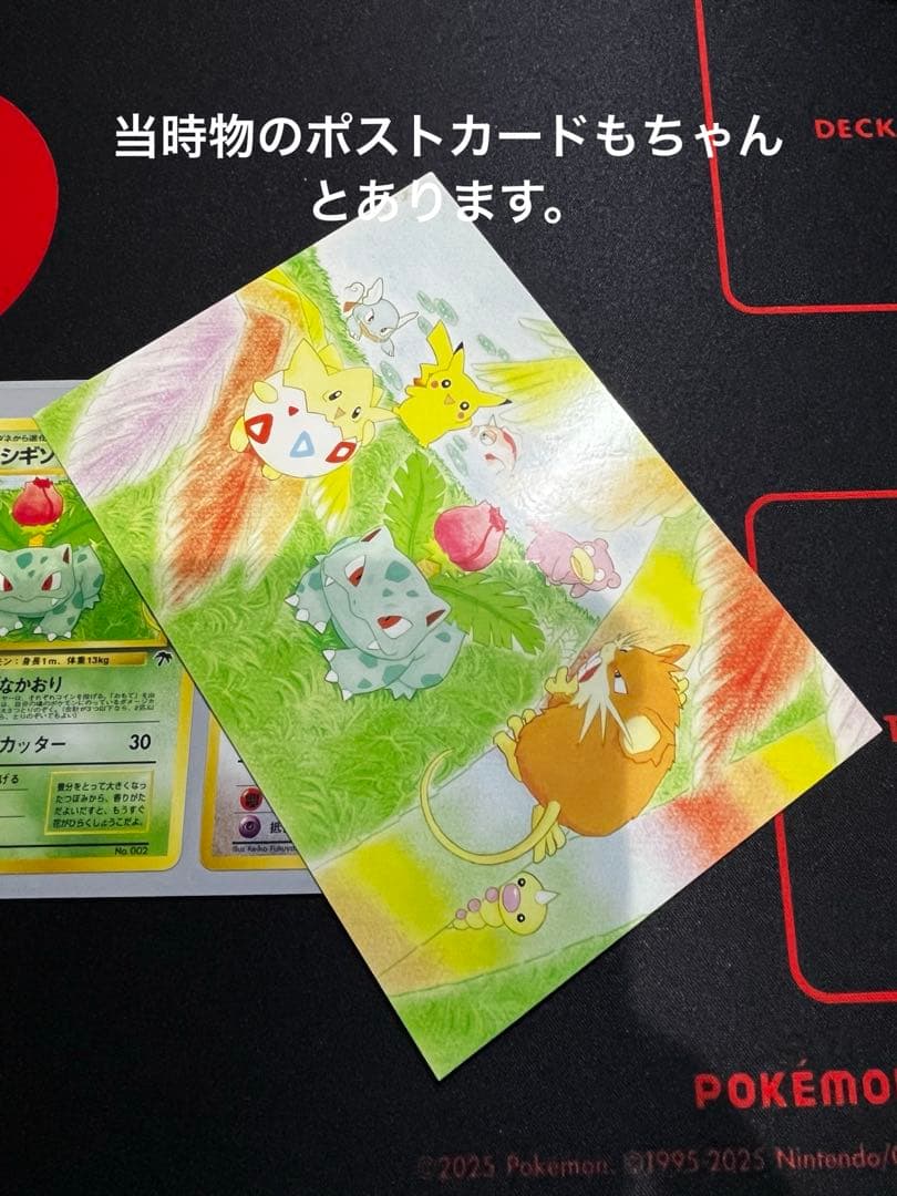 【旧裏】サザンアイランド　レインボーアイランド〜お花畑〜　ポケモンカード