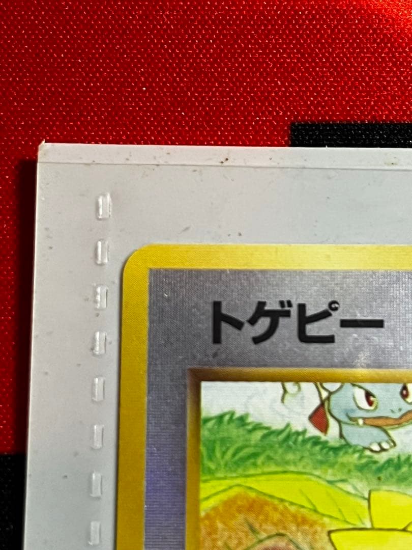 【旧裏】サザンアイランド　レインボーアイランド〜お花畑〜　ポケモンカード