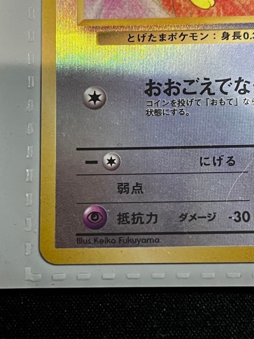【旧裏】サザンアイランド　レインボーアイランド〜お花畑〜　ポケモンカード