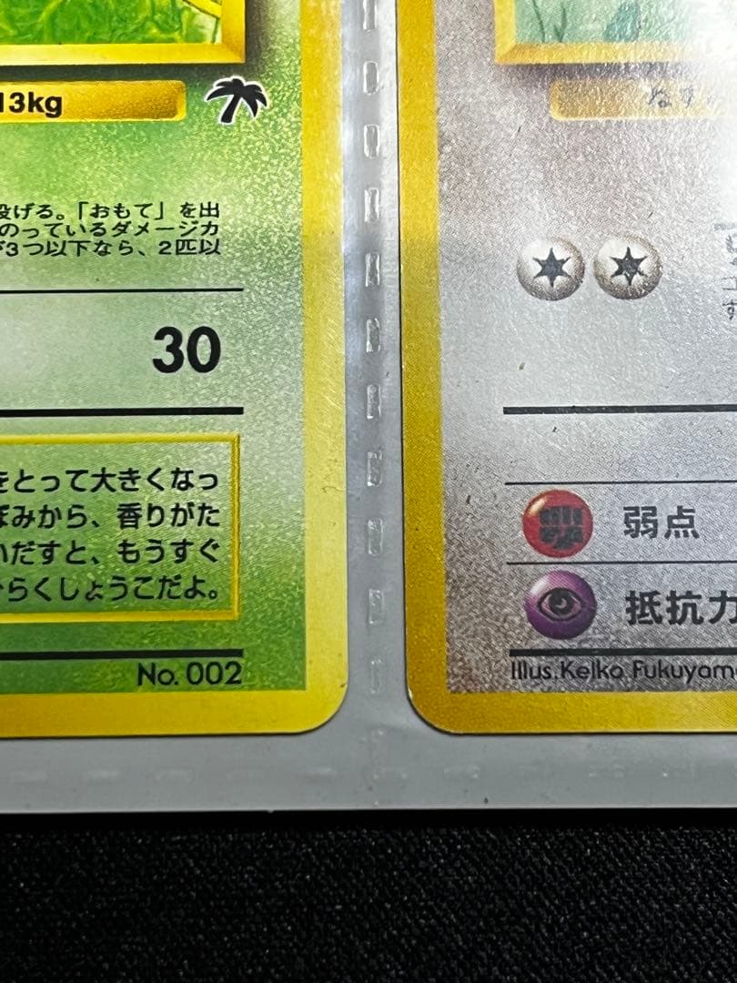 【旧裏】サザンアイランド　レインボーアイランド〜お花畑〜　ポケモンカード