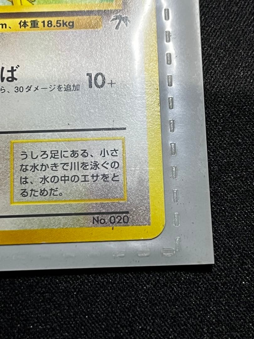 【旧裏】サザンアイランド　レインボーアイランド〜お花畑〜　ポケモンカード