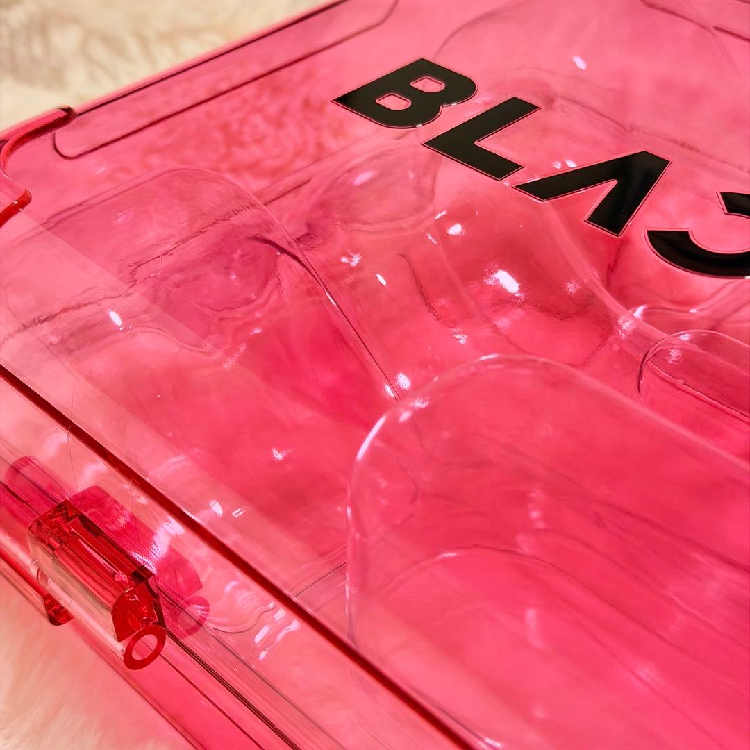 【匿名配送】BLACKPINK ペンライトケース ★ おまけ付き JENNIE