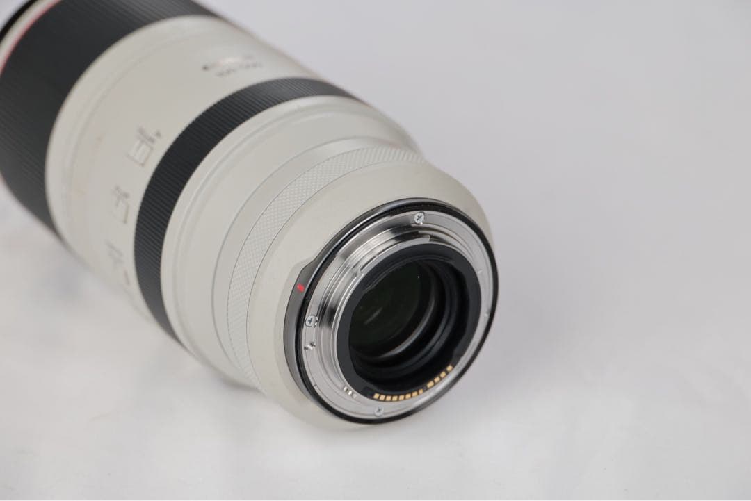キヤノン RF100-500mm F4.5-7.1 L IS USM