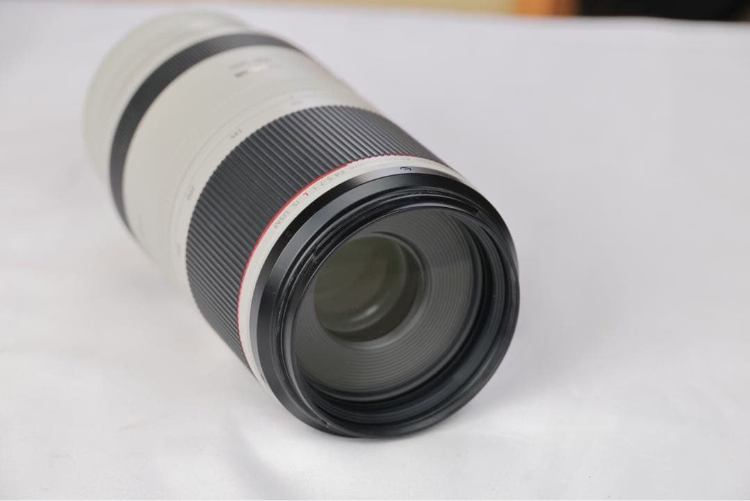キヤノン RF100-500mm F4.5-7.1 L IS USM