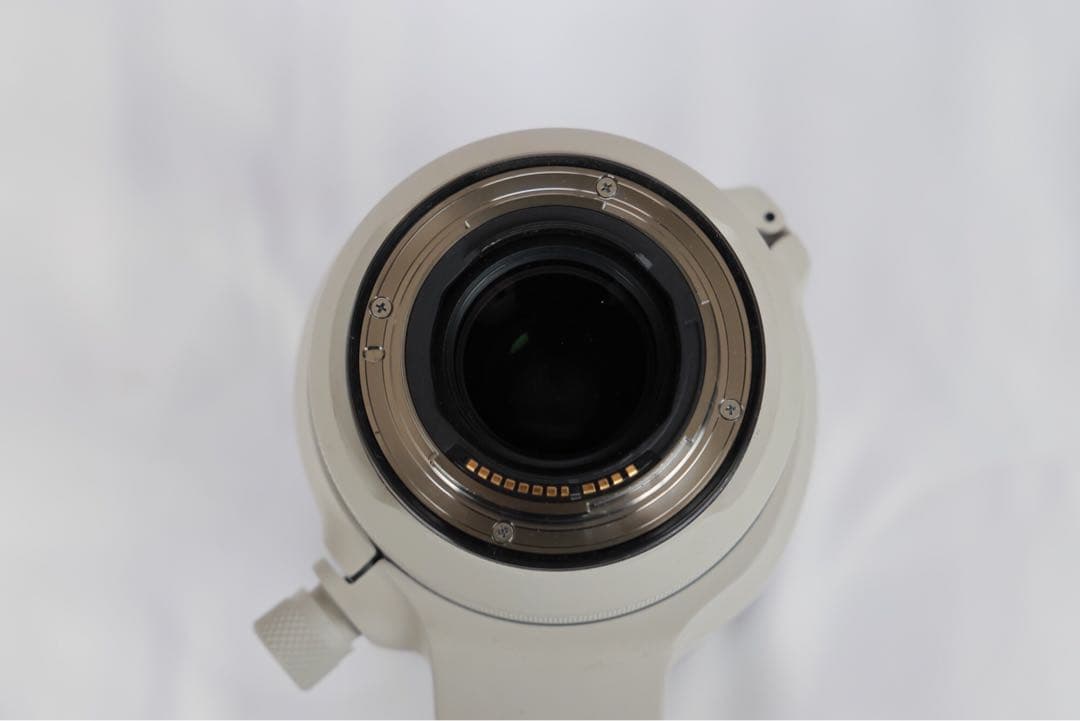 キヤノン RF100-500mm F4.5-7.1 L IS USM