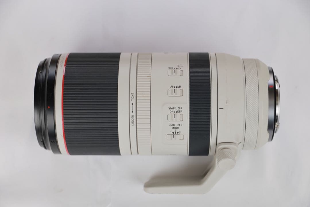 キヤノン RF100-500mm F4.5-7.1 L IS USM