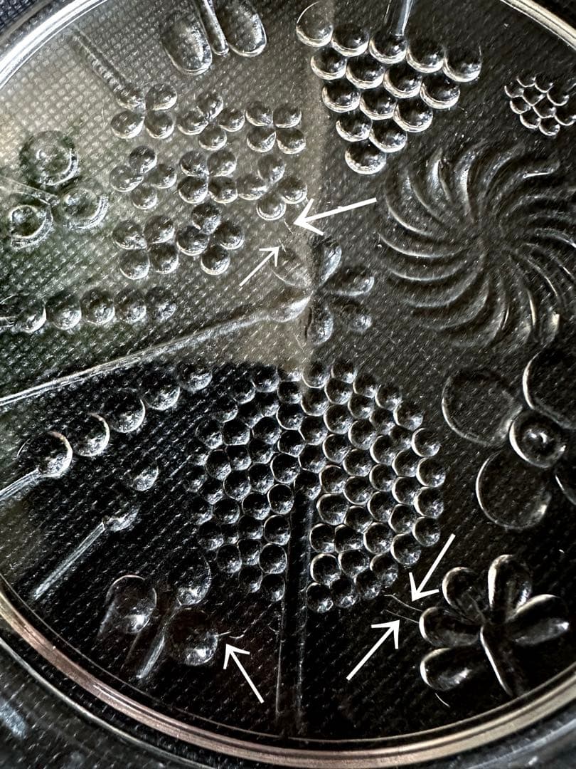 ヌータヤルヴィ フローラ　デザートプレート　B