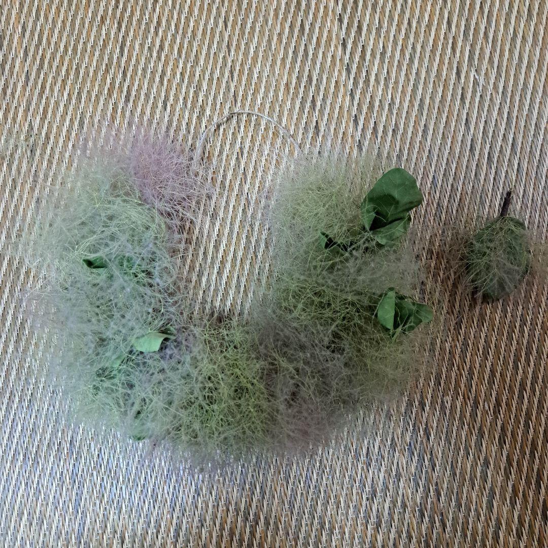 ～初夏～　スモークツリー　リース２