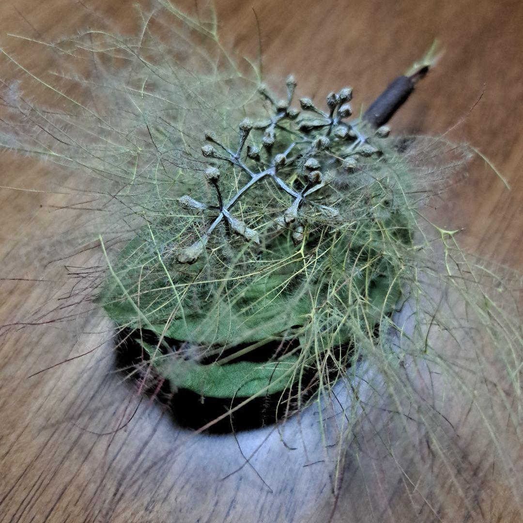 ～初夏～　スモークツリー　リース２