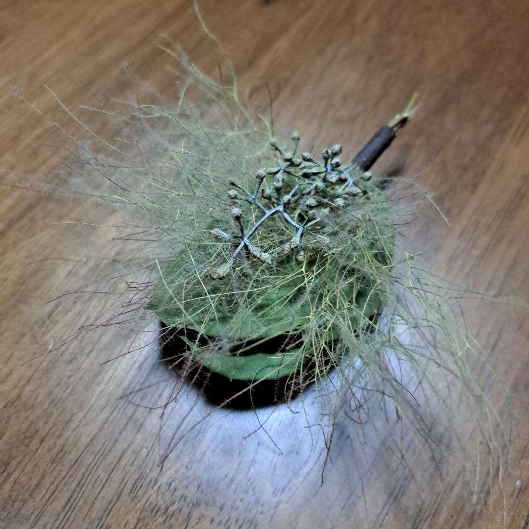 ～初夏～　スモークツリー　リース２