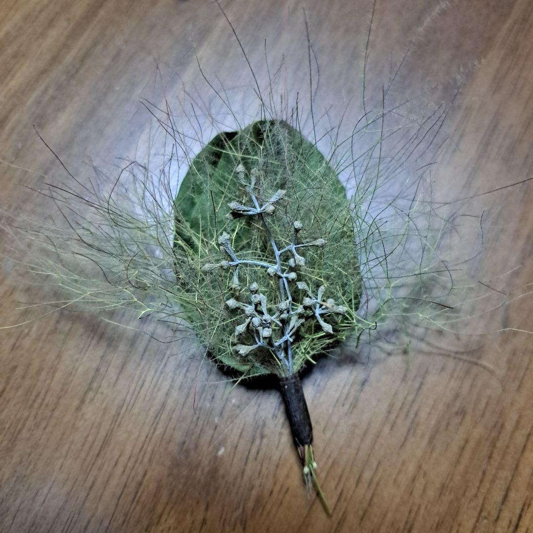 ～初夏～　スモークツリー　リース２