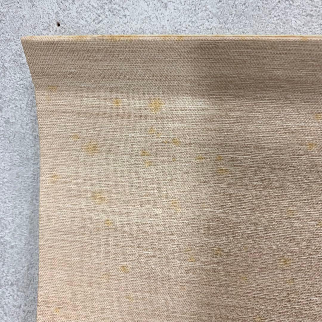 【掛軸】虎 猛虎 木箱 三頭 寅