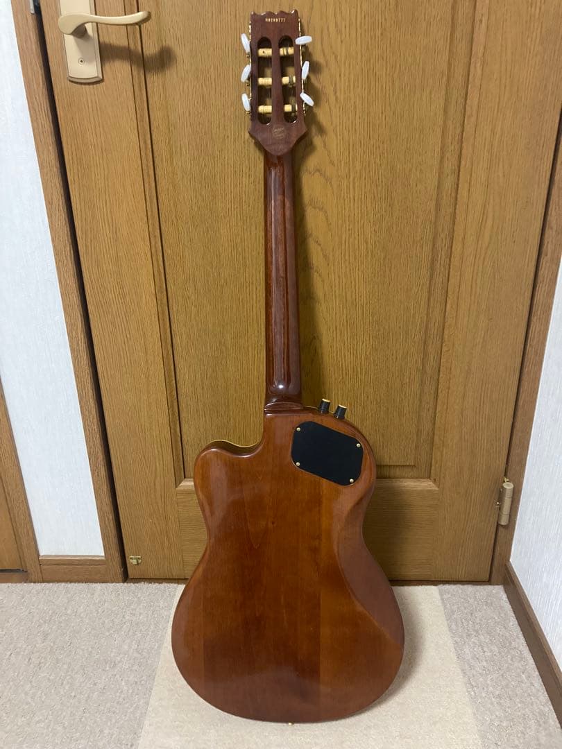 Aria アリア アコースティックエレクトリックギター