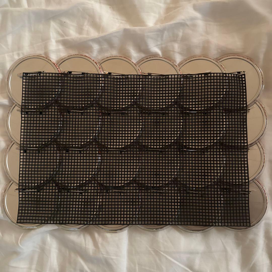 【最終値下げ】ヒプマイ 白膠木簓 EW03 缶バッジ