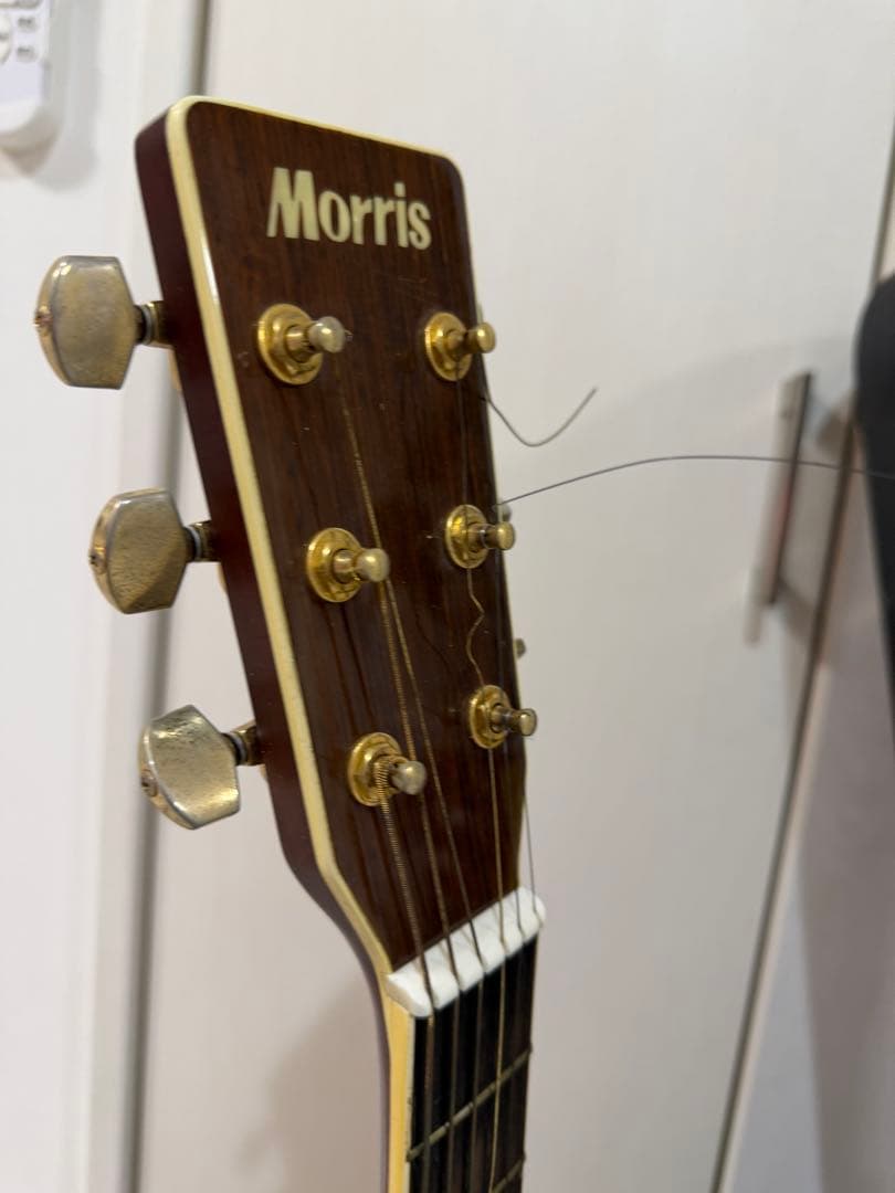 Morris アコースティックギター S-40