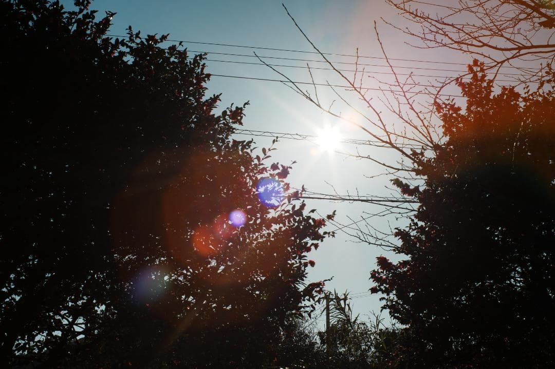 【整備＆テスト】オリンパス G.Zuiko auto 55mm F1.2 975