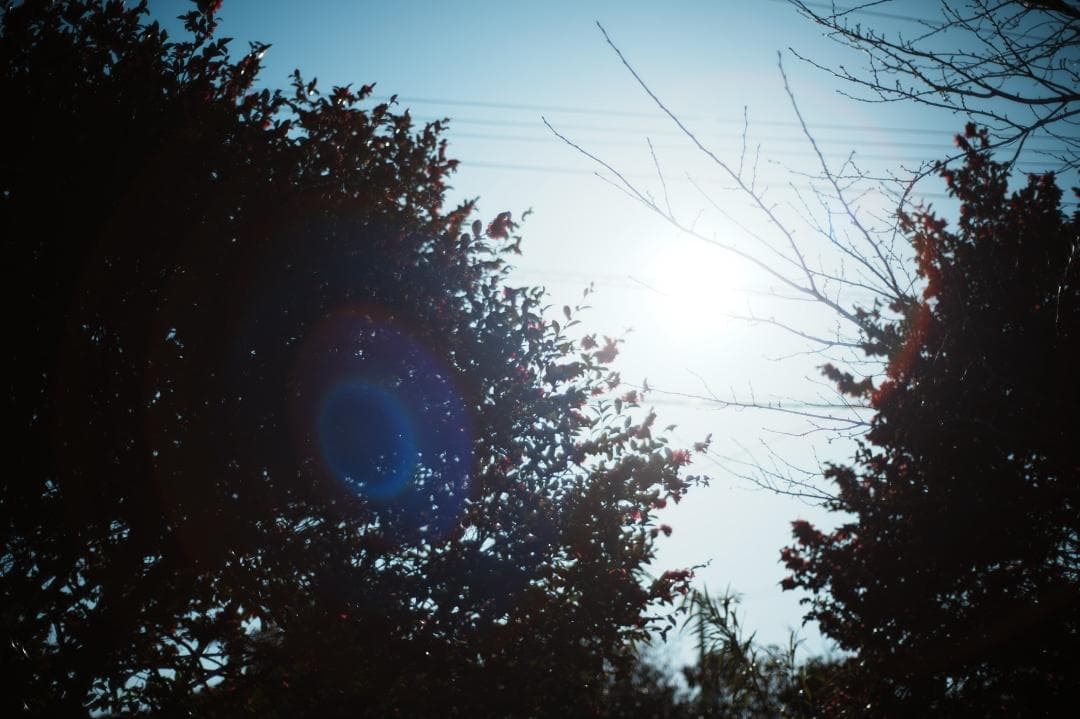 【整備＆テスト】オリンパス G.Zuiko auto 55mm F1.2 975