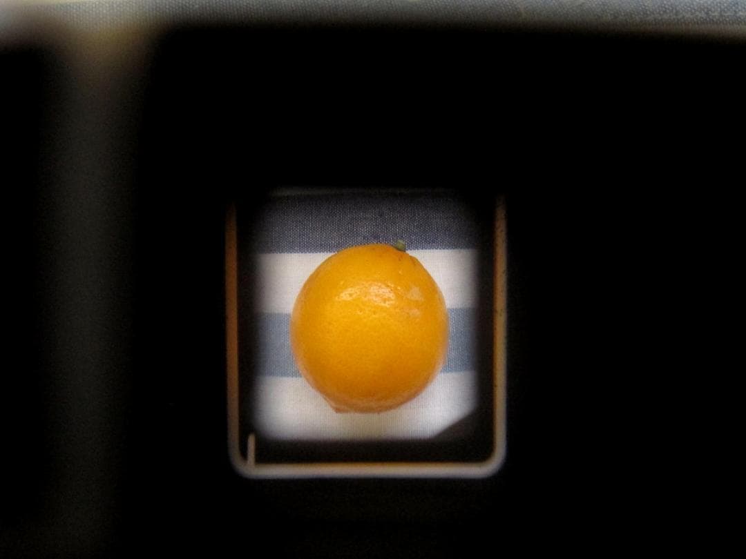 minolta repo ミノルタ レポ 初期型 フィルムカメラ ハーフサイズ
