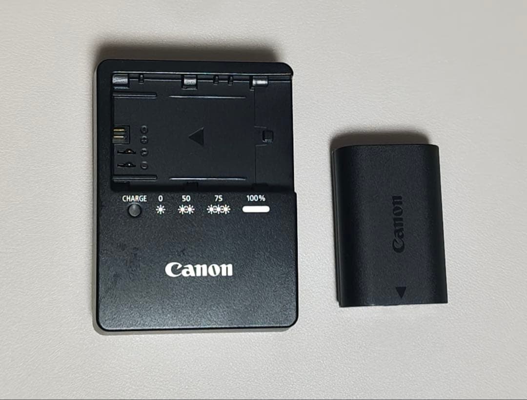 【レンズ付き】Canon EOS 80D デジタル一眼レフカメラ