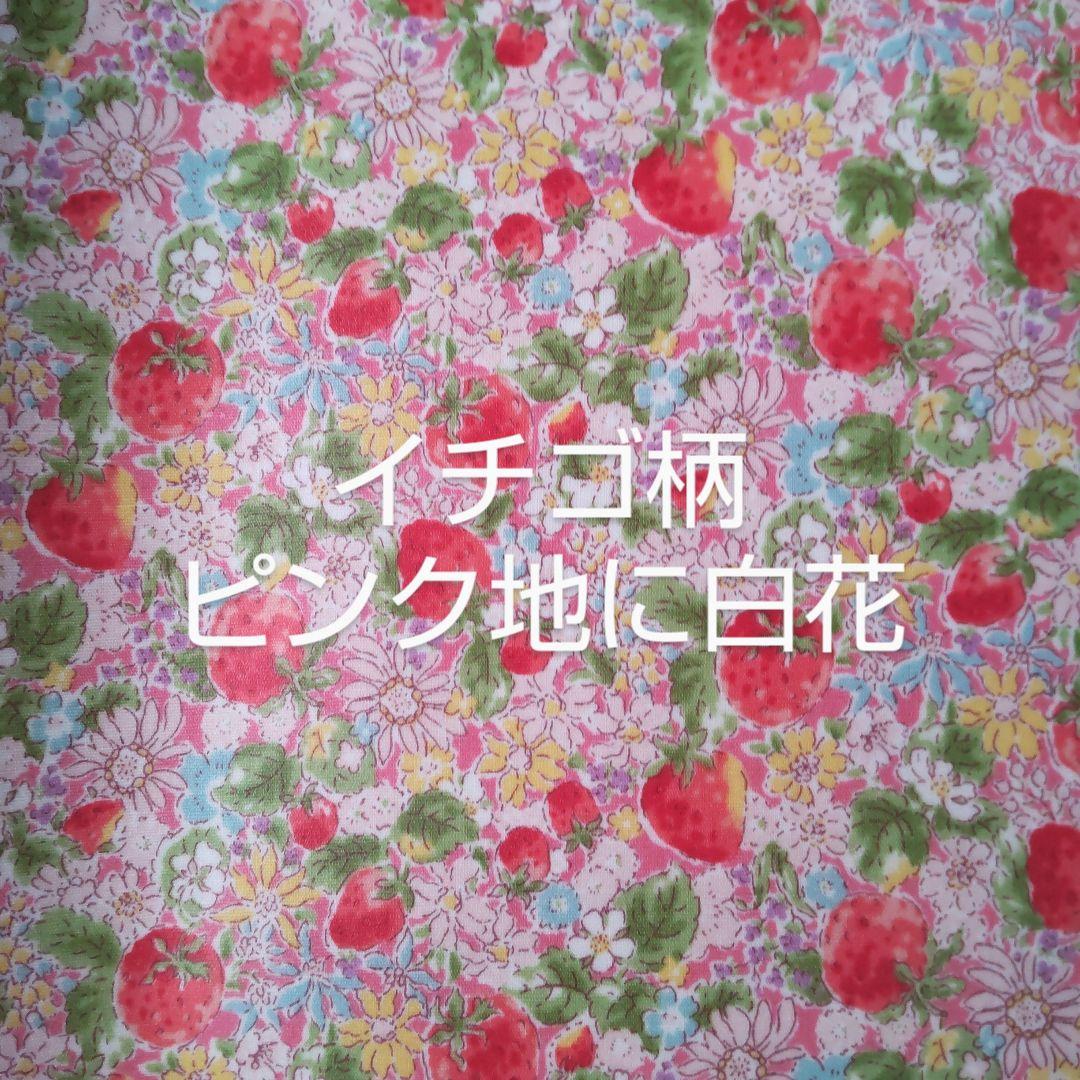 【オーダー】chiii様　透明ポケットティッシュケースキッズサイズ2個組