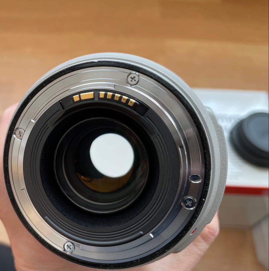 Canon EF 70-300mm f/4-5.6 IS USM おまけ2点