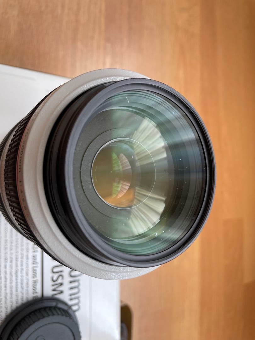Canon EF 70-300mm f/4-5.6 IS USM おまけ2点