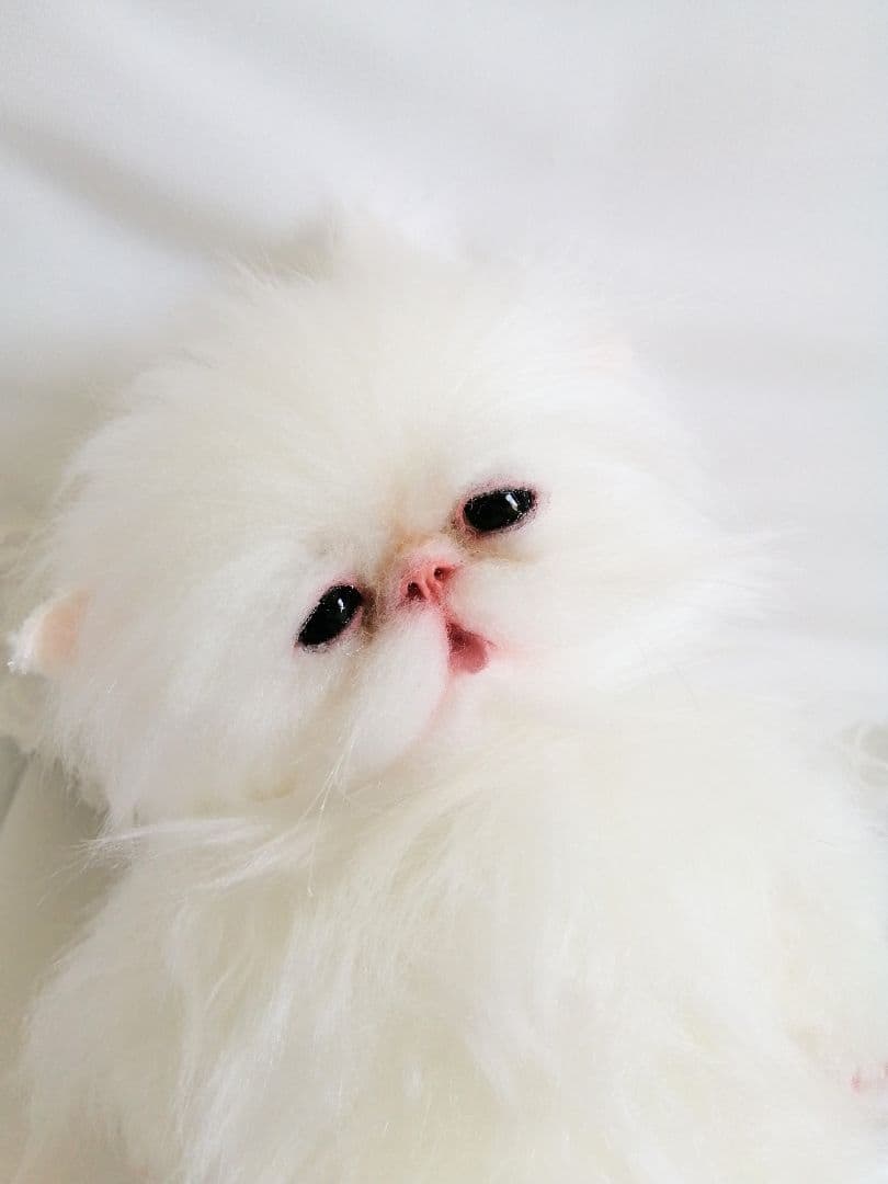 ポッケにゃん♡ベビー♡子猫ちゃん♡アートドール♡ぬいぐるみ♡