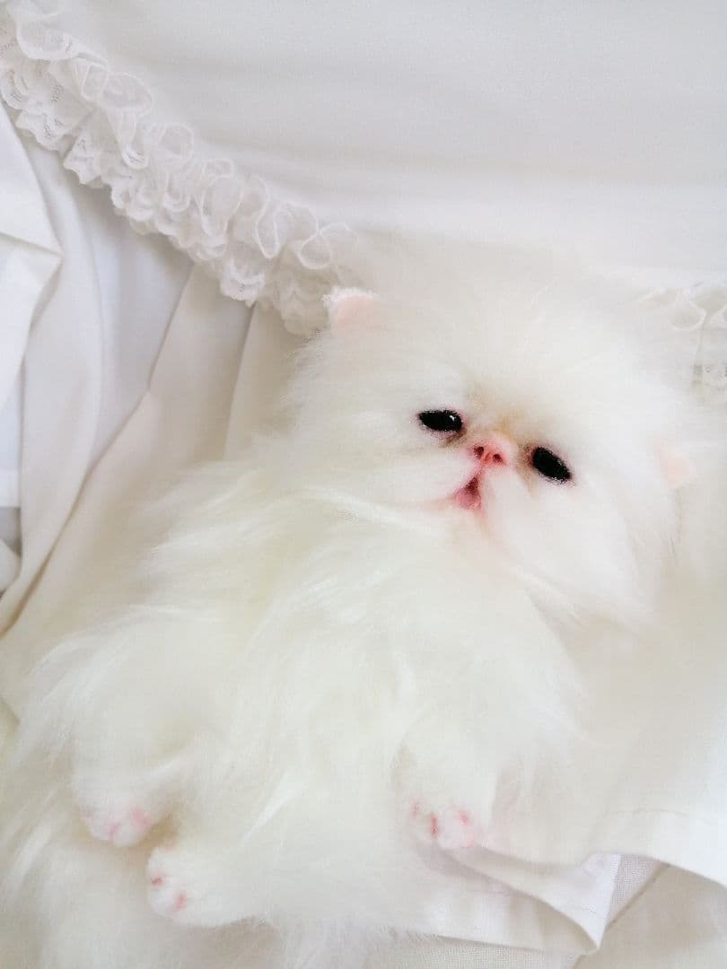 ポッケにゃん♡ベビー♡子猫ちゃん♡アートドール♡ぬいぐるみ♡