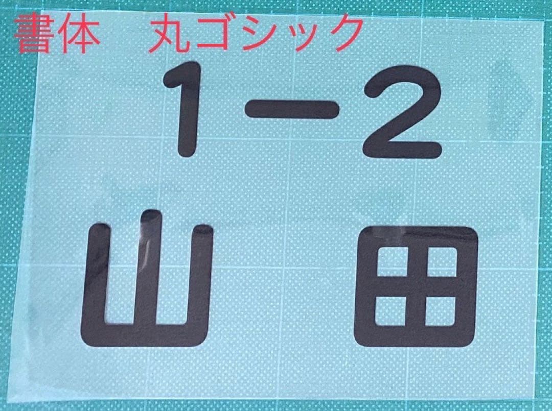 ゼッケン1枚