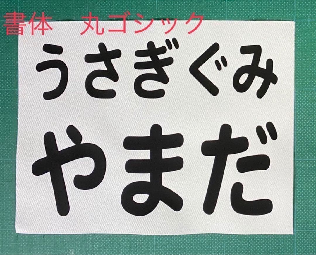 ゼッケン1枚
