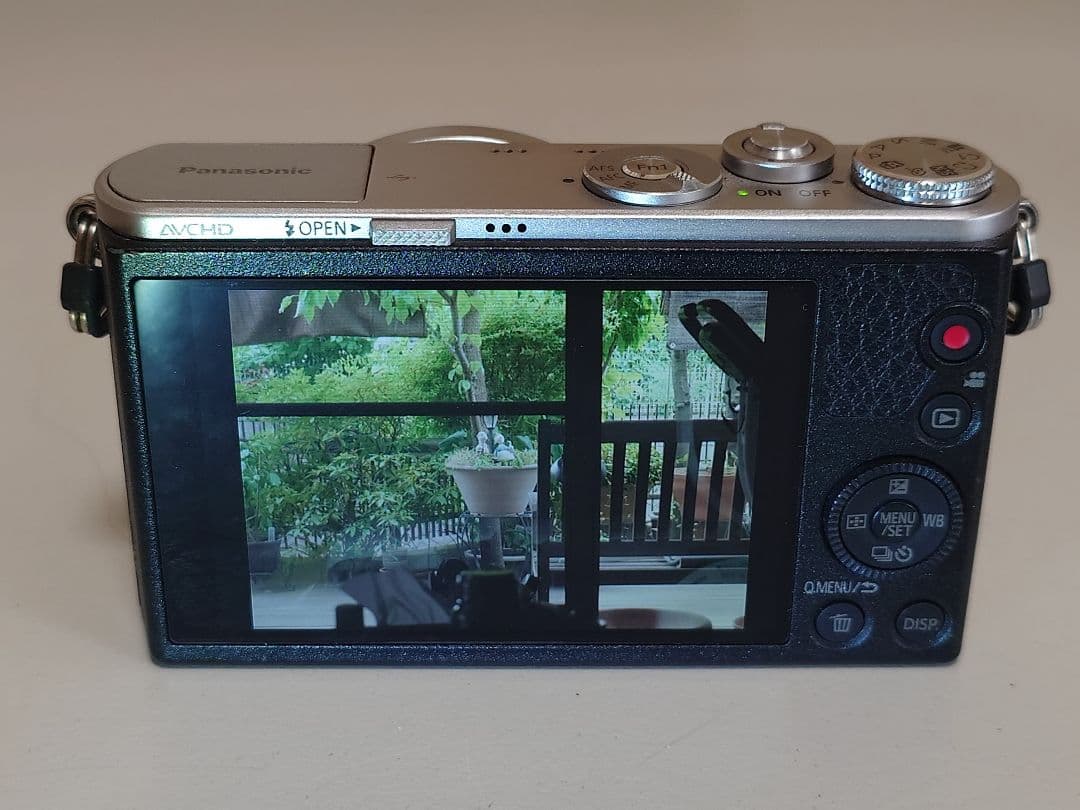 【極美品】LUMIX DMC-GM1ミラーレス一眼 カメラ本体
