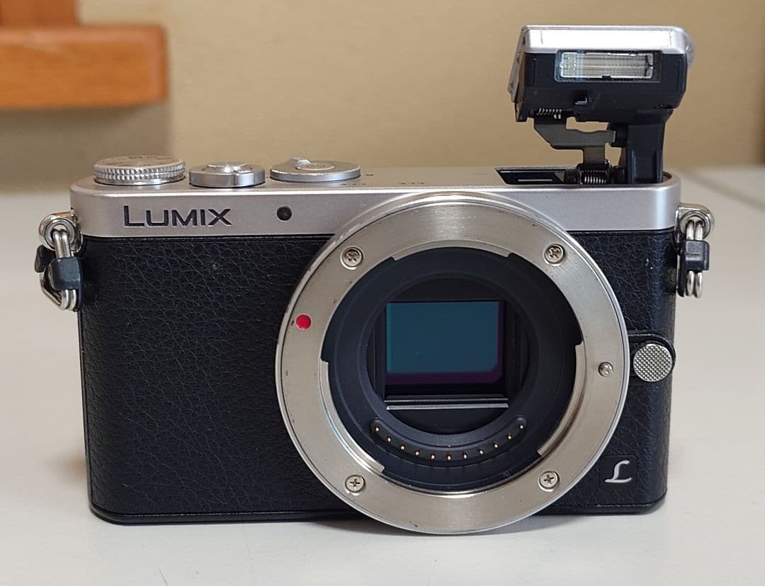 【極美品】LUMIX DMC-GM1ミラーレス一眼 カメラ本体