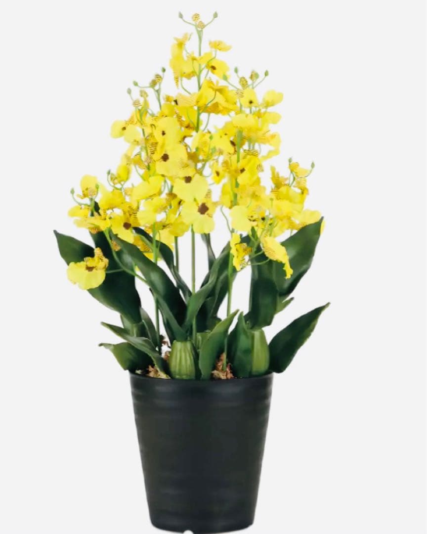 光触媒　人工観葉植物　ウォールグリーン　フェイクグリーン　オンシジュームL