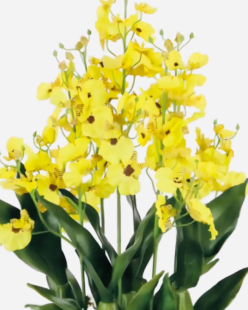 光触媒　人工観葉植物　ウォールグリーン　フェイクグリーン　オンシジュームL