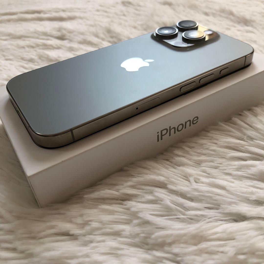 【本日限定価格】iPhone 16 Pro 256GB 100%