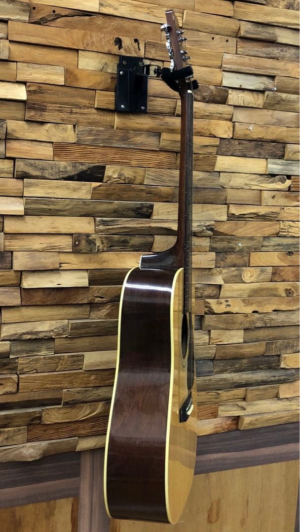 Takamine TD-25 アコースティックギター ソフトケース付