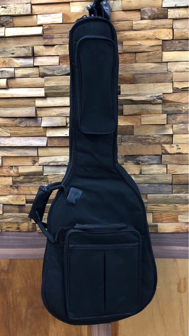 Takamine TD-25 アコースティックギター ソフトケース付