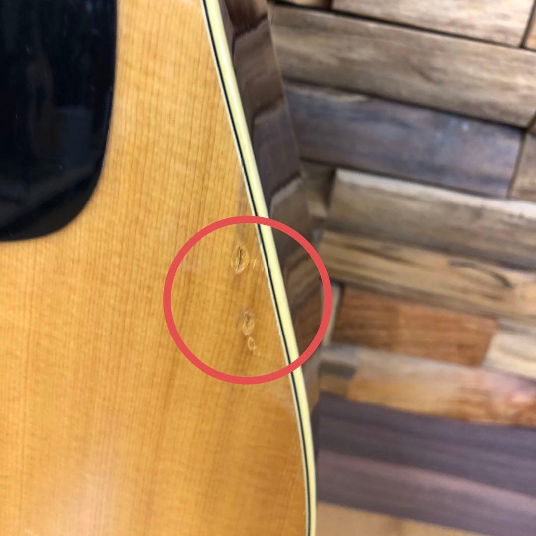 Takamine TD-25 アコースティックギター ソフトケース付