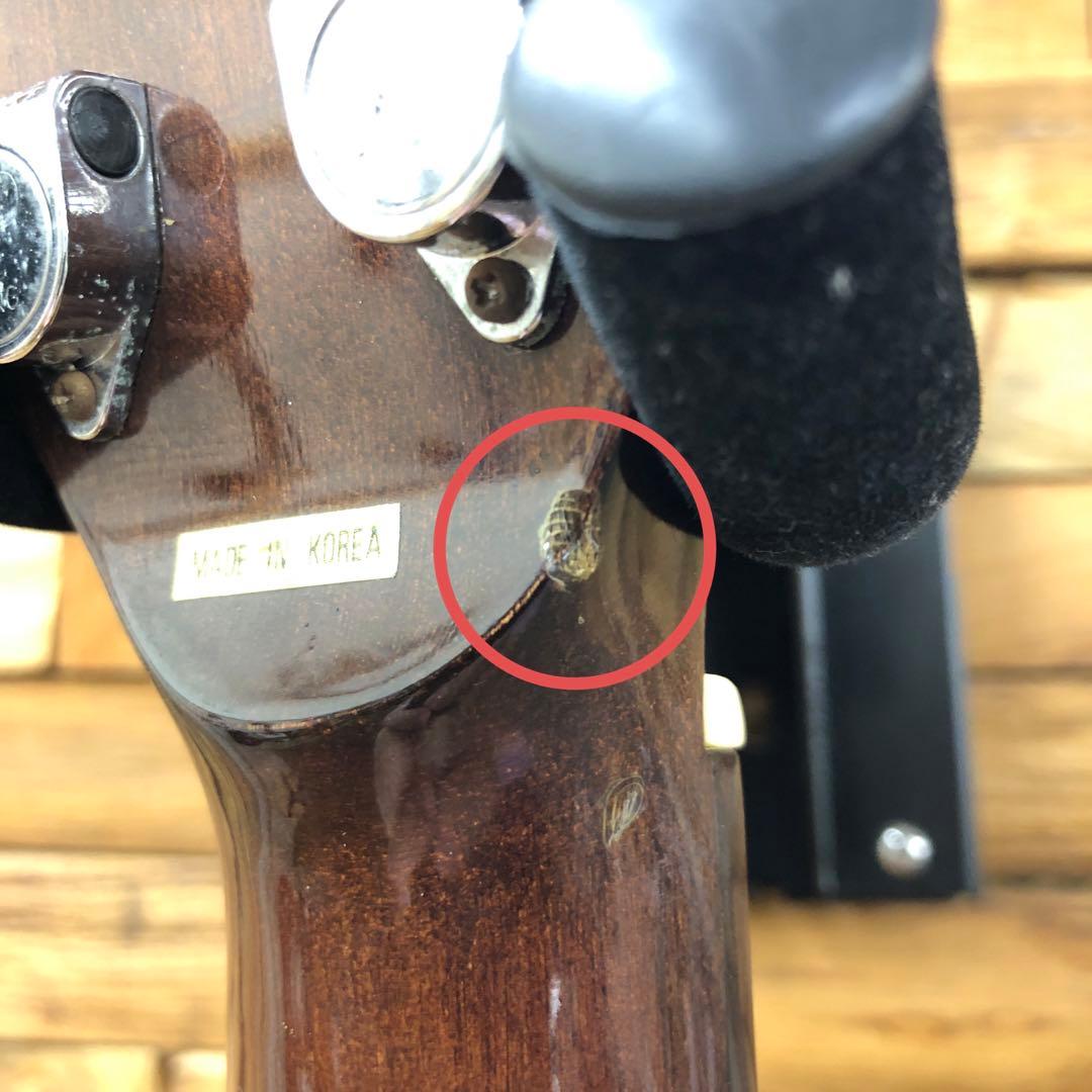 Takamine TD-25 アコースティックギター ソフトケース付