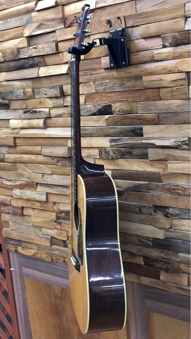 Takamine TD-25 アコースティックギター ソフトケース付