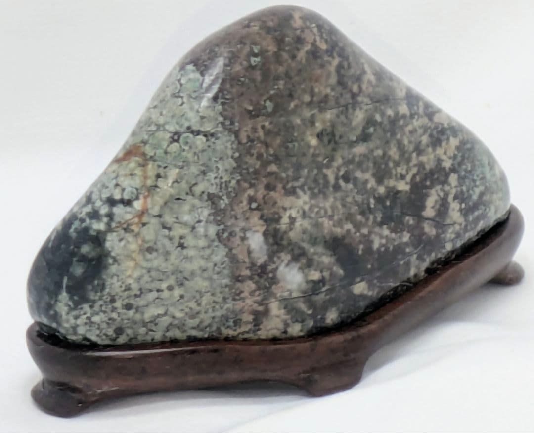 孔雀菊花石　山の形　根尾 鑑賞石 水石 自然石　紫檀台座