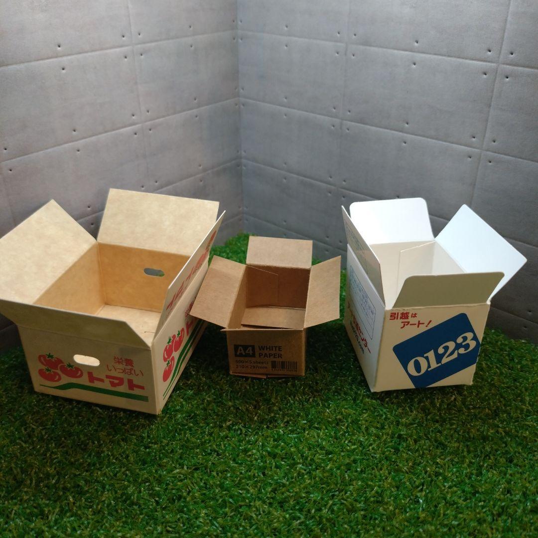 羊毛フェルト トイプードル「箱入り小さなプードルちゃん」