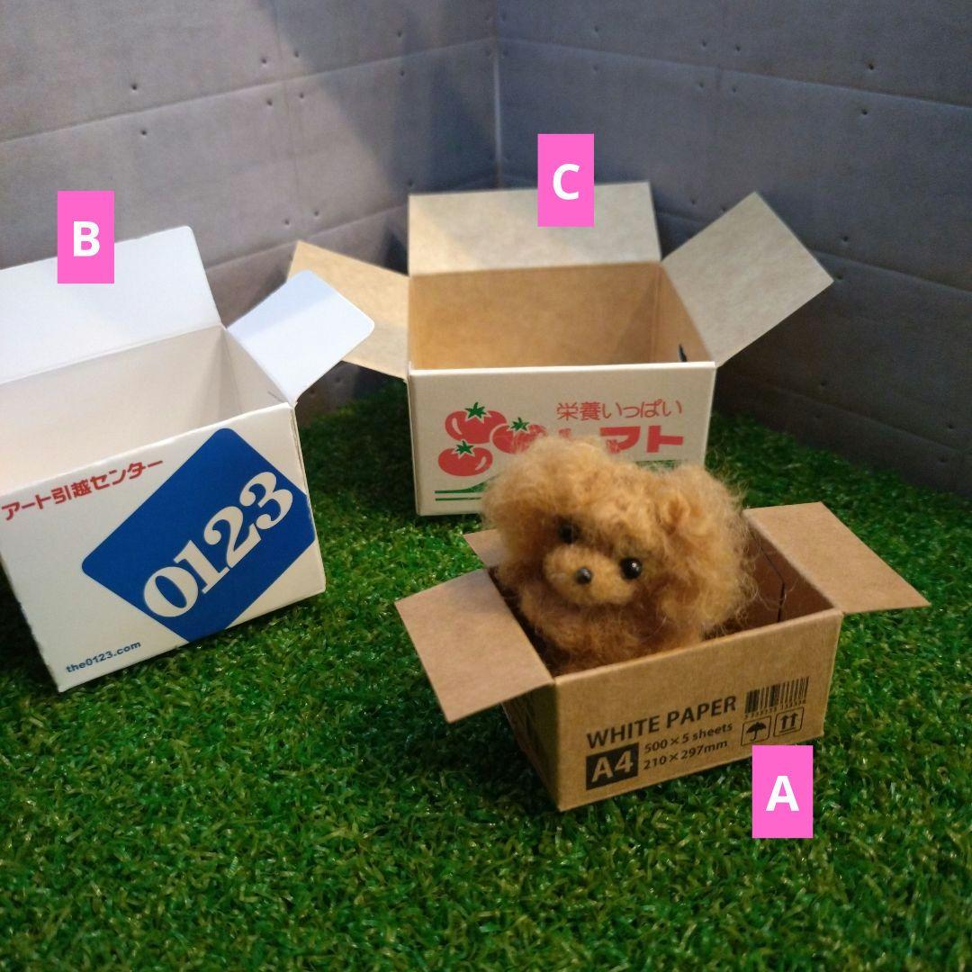 羊毛フェルト トイプードル「箱入り小さなプードルちゃん」