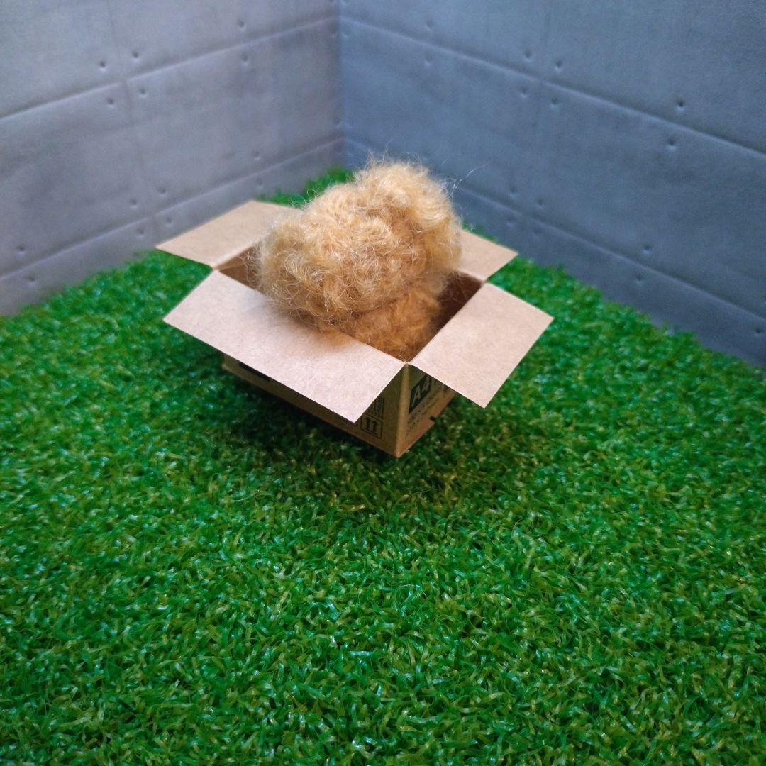 羊毛フェルト トイプードル「箱入り小さなプードルちゃん」