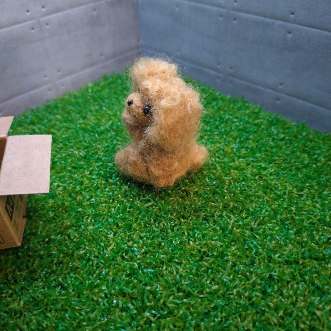 羊毛フェルト トイプードル「箱入り小さなプードルちゃん」