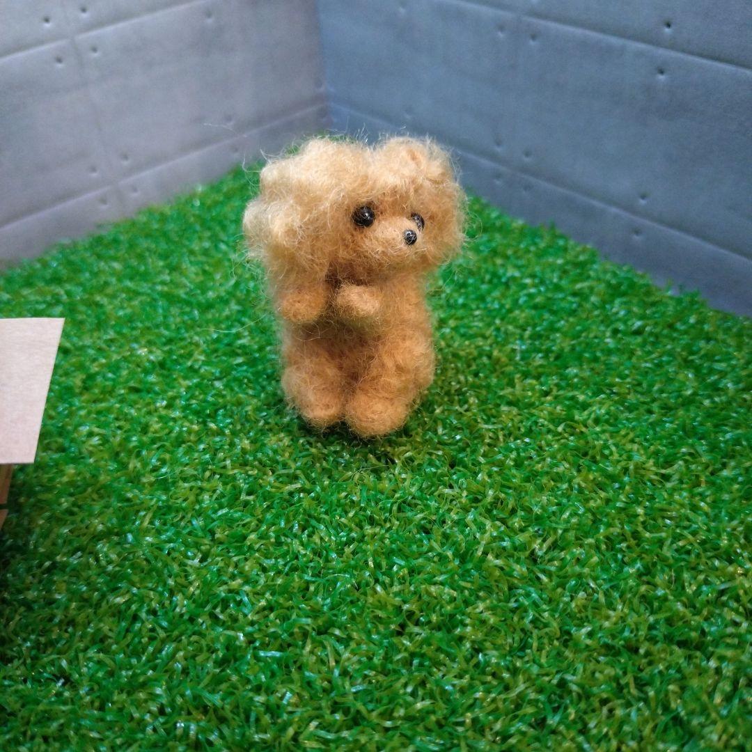 羊毛フェルト トイプードル「箱入り小さなプードルちゃん」