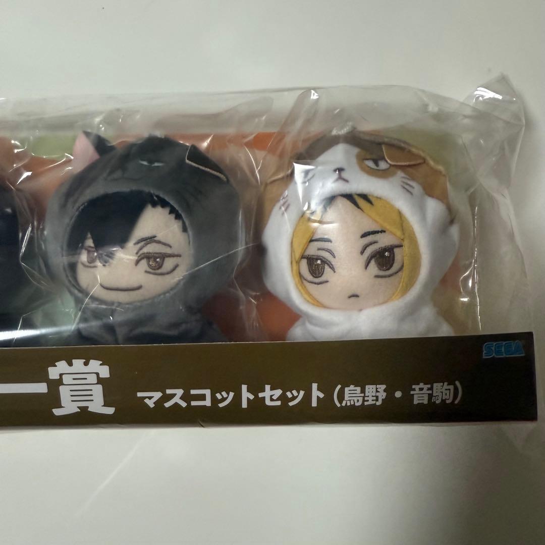【新品未使用】ハイキュー ラッキーくじ ラストラッキー賞 ぬい アクスタ 缶バ